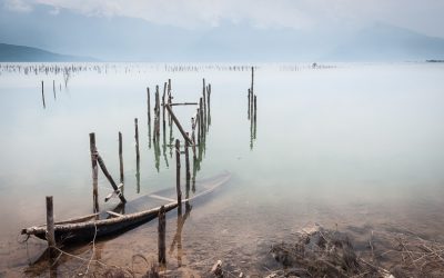 Fototentoonstelling 2017: de top 10 van de mooiste foto’s