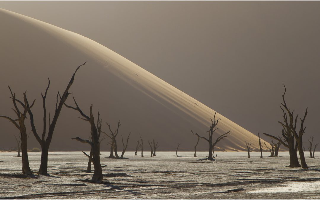 Uitslag “Beste foto van 2018”